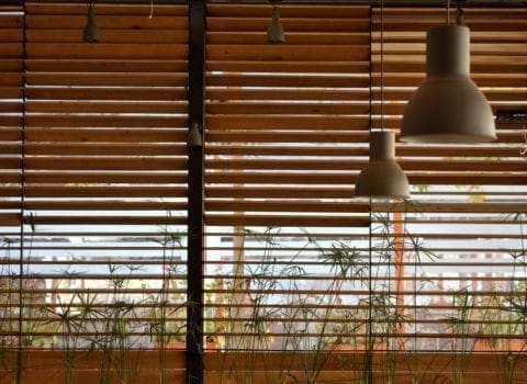 wooden window blinds
