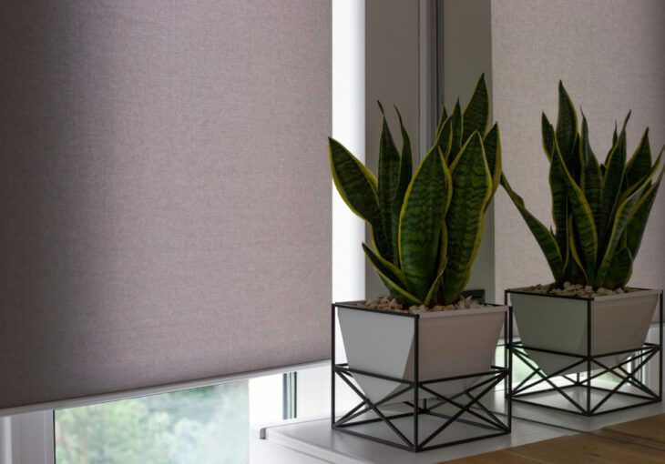 motorised-grey-blinds-with-succulent-in-pots