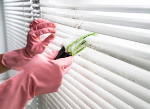 person cleaning shutters