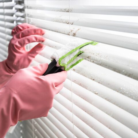 person cleaning shutters
