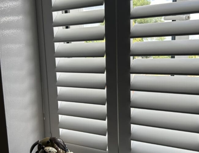 bay window shutter-white