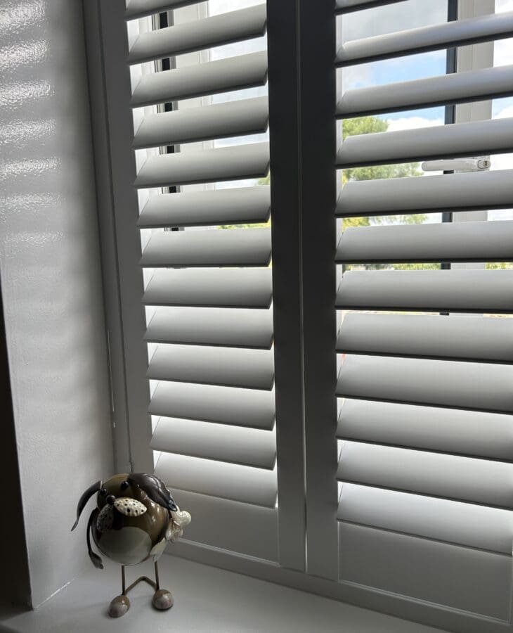 bay window shutter-white