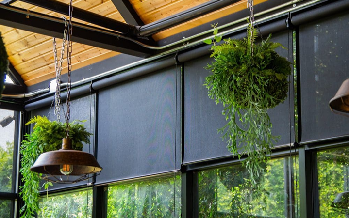 Black roller conservatory blinds installed in a modern glass extension with hanging plants and natural light